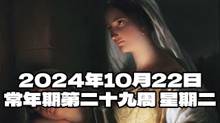 2024年10月22日，常年期第二十九周，星期二 | Tuesday of week 29 in Ordinary Time