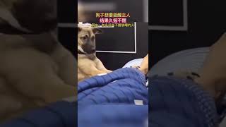 狗狗想搖醒主人 #裝睡的人永遠不會醒