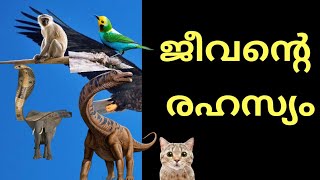 ജീവന്റെ രഹസ്യം|Secrets of Life