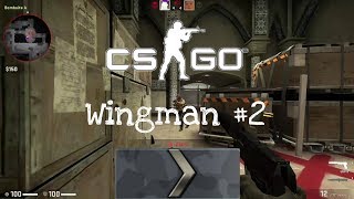 CSGO - Wingman #2 Modelo Time