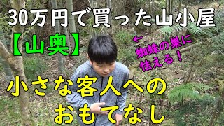 【30万円で買った家】ポツンと一軒家にお客様が来たので、ステーキで精一杯のおもてなしをしました。