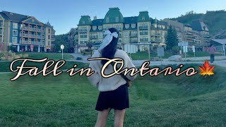 Ontario’s Hidden Gems in Fall 🍂