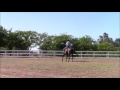 3 exercises to cure the barn sour horse mike hughes auburn ca.