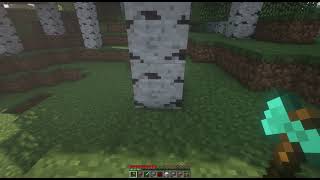 Minecraft Plugin Timber | Demo