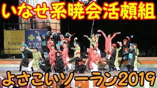 『 いなせ系暁会活頗組 』 in よさこいソーラン 2019.6.6　at 大通り西８丁目