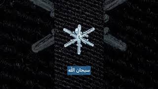 صورة مقربة لرقائق الثلج سبحان الله العظيم لكل ندفة ثلجية شكل خاص و فريدة من نوعها ❄️(هذا خلق الله )