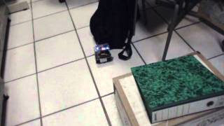 Genetic Algorithm Navigation Algorithm in a FPGA