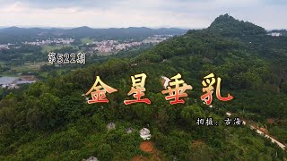 广东化州尖岗岭，陈氏清代古墓，喝形金星垂浮，为风水大师黄魁宇作品，