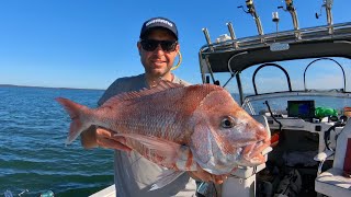 Westernport Snapper October ‘24- How to- All About Fishing