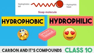 What is Hydrophobic \u0026 Hydrophilic?|Cleaning action of Soap |micelles|Class 10|Carbon and Compound