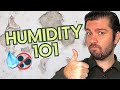 How to Maintain Humidity for a Healthy Home