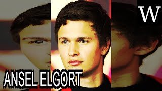 Ansel Elgort Documentary