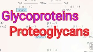 Glycoproteins/ Proteoglycans/ Biochemistry