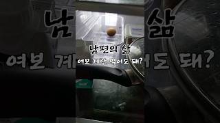 여보 나 계란 먹어도 돼?#부부관계