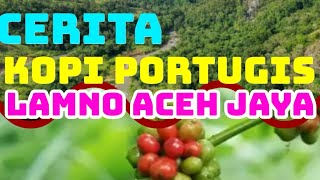 CERITA KOPI PORTUGIS  - LAMNO ACEH JAYA