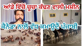 Egg hatching machine ਅੰਡੇ ਵਿੱਚੋਂ ਚੂਚਾ ਕੱਢਣ ਵਾਲੀ ਮਸ਼ੀਨ ਪੰਜਾਬ ਵਿੱਚ ਰਹਿਕੇ ਕਨੇਡਾ ਨਾਲੋਂ ਵੱਧ ਕਮਾਉਦੈ ਨੌਜਵਾਨ