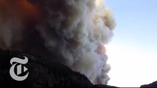 The Science Behind Forest Fires | How It Happens | The New York Times