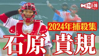 【正確無比な強肩】2024年石原貴規の捕殺集！一瞬の油断も許さない好プレーまとめ🔥 【球団認定】カープ全力応援チャンネル