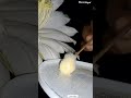 Dragon fruit hand pollination