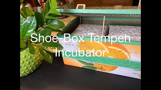 Shoe Box Incubator For Your Homemade Tempeh