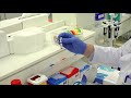GlycoWorks RapiFluor-MS on the Tecan