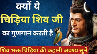 शिव भक्त चिड़िया की कहानी|heart touching story| Mahadev motivational story|shiv amratvani | kahani