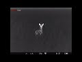 Incredible Barn Owl and Deer Thermal Footage with Pulsar Accolade 2 XP50 PRO