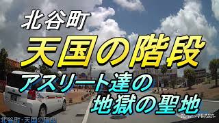 【沖縄の坂道】天国への階段、北谷にある２つの天国、天国な街角を出発して、もう一つの天国へ向かう・アスリートたちの地獄の聖地「天国への階段」さあ―かけ上がれ！・沖縄旅行・沖縄観光