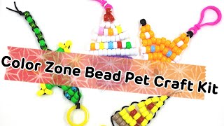 Color Zone BEAD PET Craft Kit, Trying a fun bead kit from Michael's!