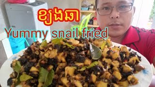 វិធីឆាខ្យង/Yummy snail cooking