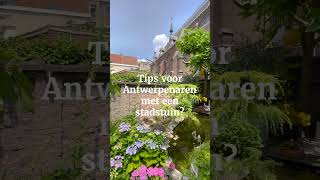 De leukste stadstuin van Antwerpen