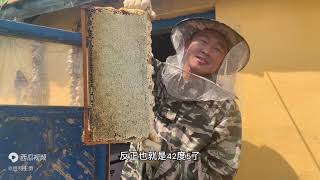 养蜂人不会告诉你的蜂蜜知识，看看王勇怎么说