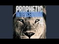 Prophetic Intercession 4