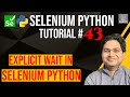 Selenium Python Tutorial #43 - Explicit Wait in Selenium Python