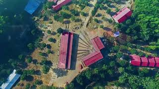 Quantum Cosmo School & College Campus