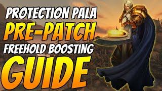 FREEHOLD IN UNDER 9 MINUTES? HOW TO PLAY A PALADIN FOR THE ULTIMATE BOOST!