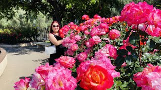 Most Beautiful Rose Garden In Southern California, USA | Tham Quan Vườn Hoa Hồng Nổi Tiếng Nam Cali