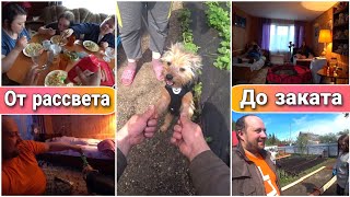 ВЛОГ! Жизнь на даче как в деревне//Дачные будни//С ночёвкой на даче//Семейный канал//Простая жизнь