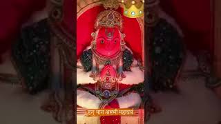 Hanuman Ashtami Maha Parva