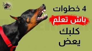 Dressage du chien au mordant en 4 étapes - أربع خطوات باش تعلم كلبك يعض