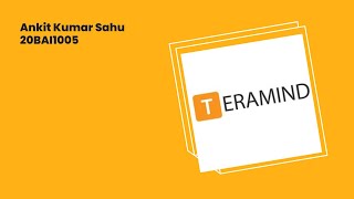 Teramind Demo