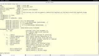 Interacting with Linux Kernel Modules