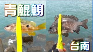 20230511 台南青鯤鯓磯釣＃Fishing＃HP黑白釣