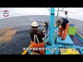 生物放大鏡 孕育生命也吞噬生命的神秘魚柱 飛上陸地睡覺的魚類 四億多年唯二擁有的逃跑技能