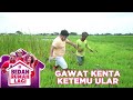 GAWAT KOMANDAN KENTA TAKUT KETEMU ULAR  - BEDAH RUMAH LAGI