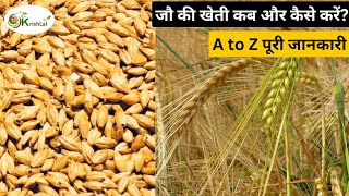 Jau ki kheti kaise kre | कम पानी में जौ की खेती | जौ की खेती step by step guide | Barley Cultivation