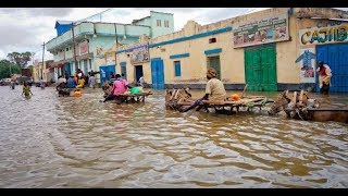 Barnaamij gaar ah oo ku saabsan dhisitaanka Golaha Deeganka Maamulka Hirshabeelle