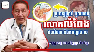 Acute Pancreatitis​ | មូលហេតុរលាកលំពេង - ជ័យ វិទ្យា - Nakry Edu