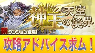 【パズドラ】神王の天空境界全階層制覇する！