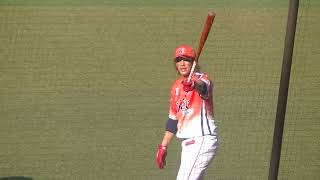 【合同トライアウト】スワローズ西田明央が陽岱鋼と並んで素振りを行う 2024年プロ野球12球団合同トライアウト11月14日